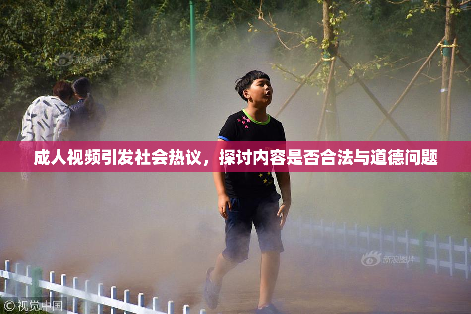 成人视频引发社会热议，探讨内容是否合法与道德问题