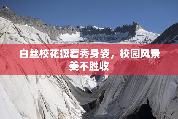 白丝校花撅着秀身姿，校园风景美不胜收