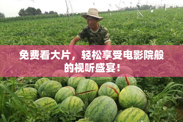 免费看大片，轻松享受电影院般的视听盛宴！