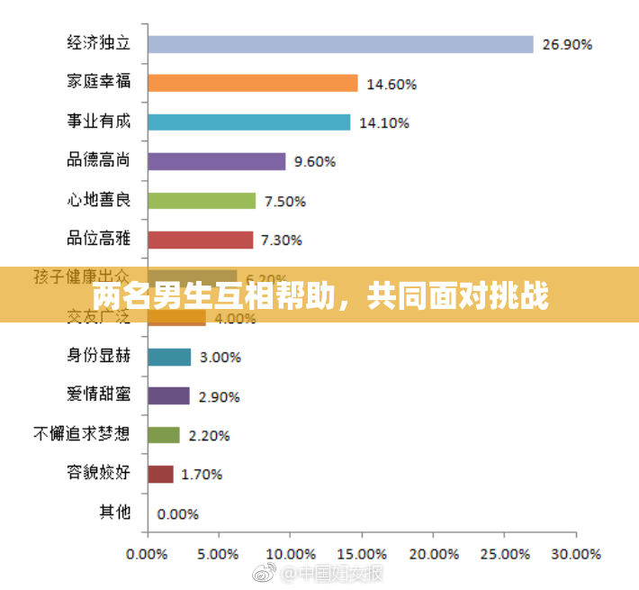 两名男生互相帮助，共同面对挑战