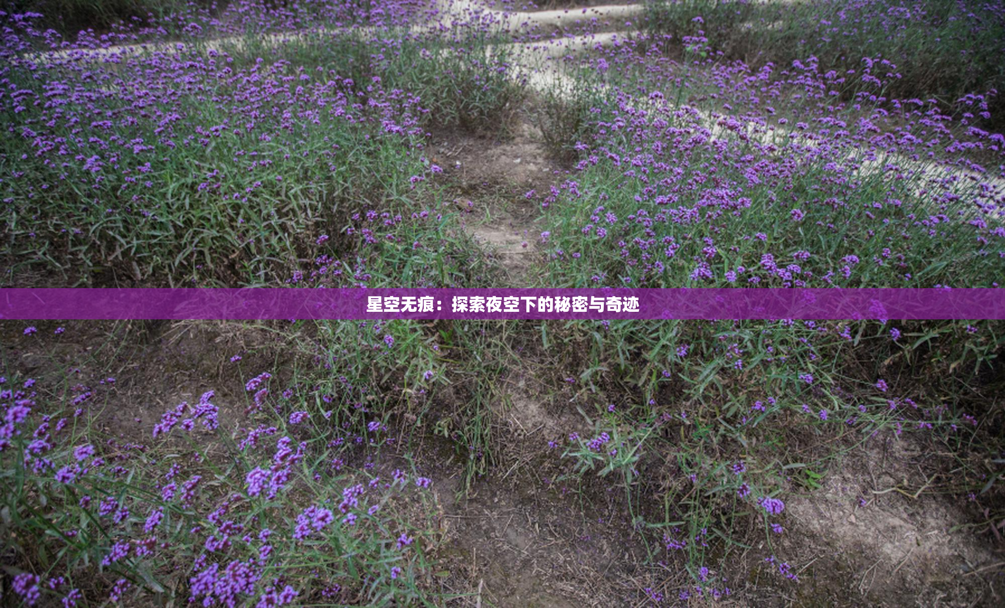 星空无痕：探索夜空下的秘密与奇迹