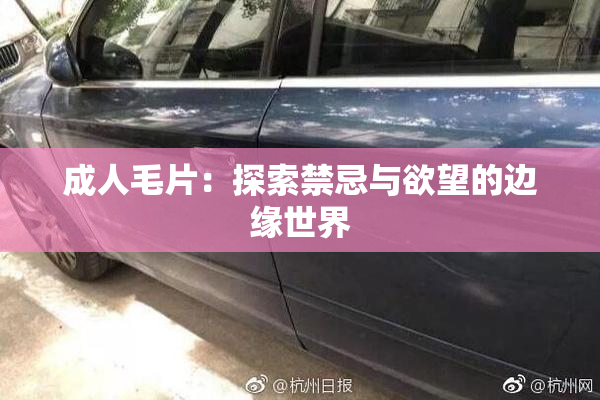 成人毛片：探索禁忌与欲望的边缘世界