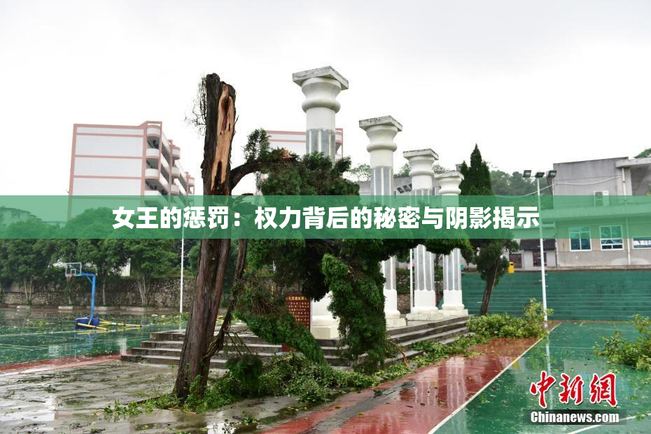 女王的惩罚：权力背后的秘密与阴影揭示