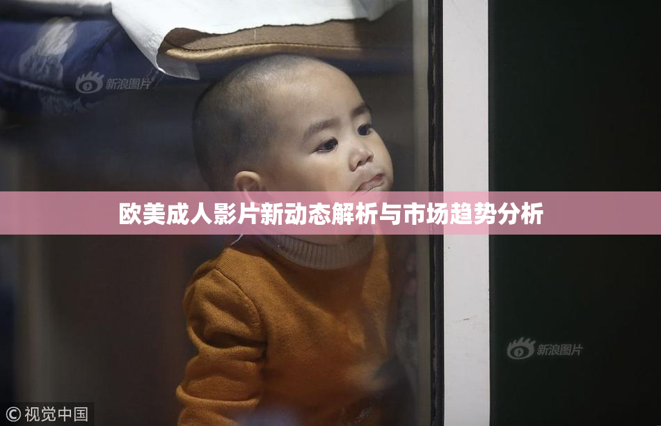 欧美成人影片新动态解析与市场趋势分析