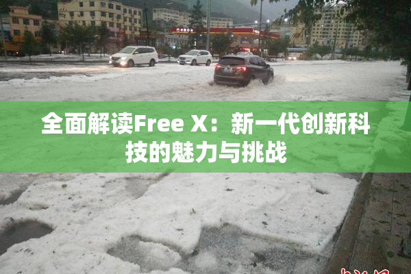 全面解读Free X：新一代创新科技的魅力与挑战