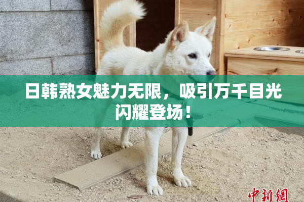日韩熟女魅力无限，吸引万千目光闪耀登场！