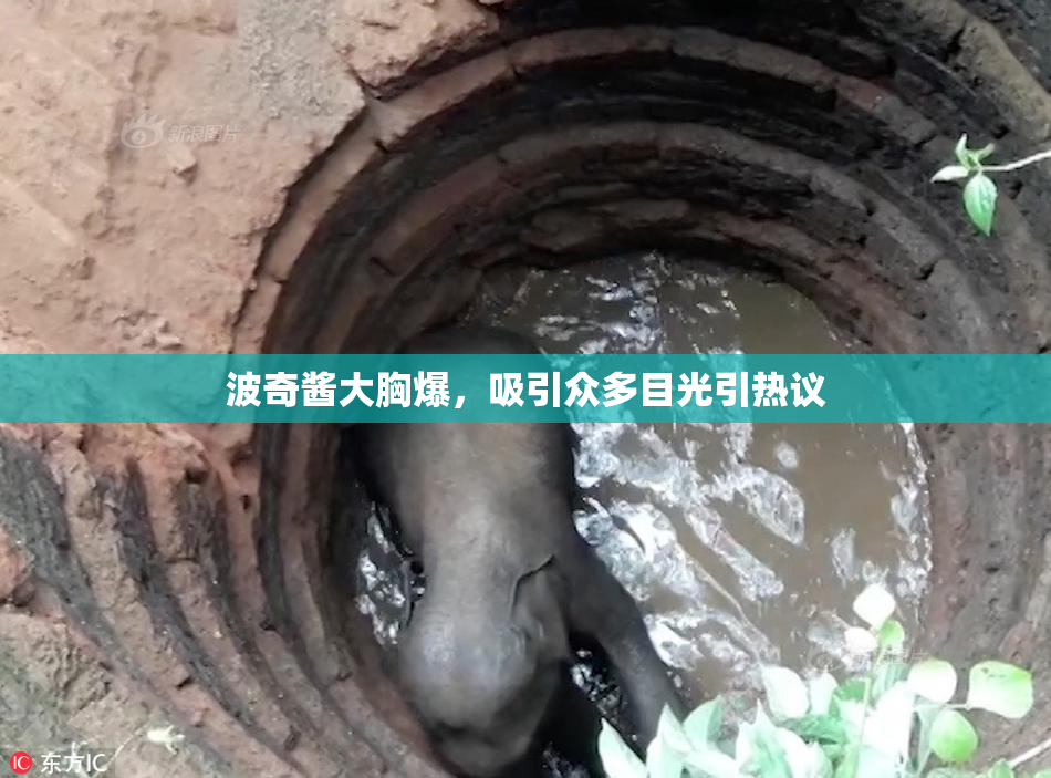 波奇酱大胸爆，吸引众多目光引热议