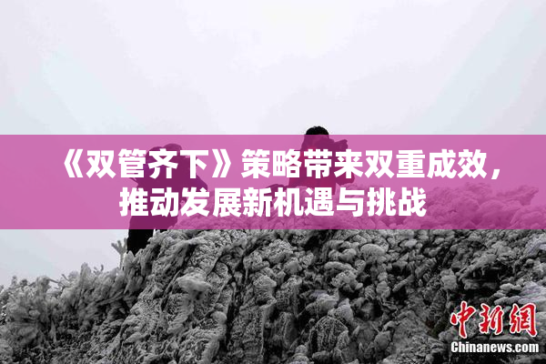 《双管齐下》策略带来双重成效，推动发展新机遇与挑战