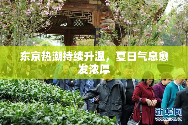 东京热潮持续升温，夏日气息愈发浓厚