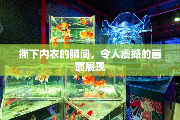 撕下内衣的瞬间，令人震撼的画面展现