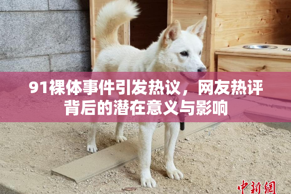 91裸体事件引发热议，网友热评背后的潜在意义与影响