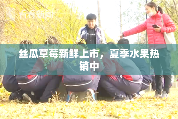 丝瓜草莓新鲜上市，夏季水果热销中