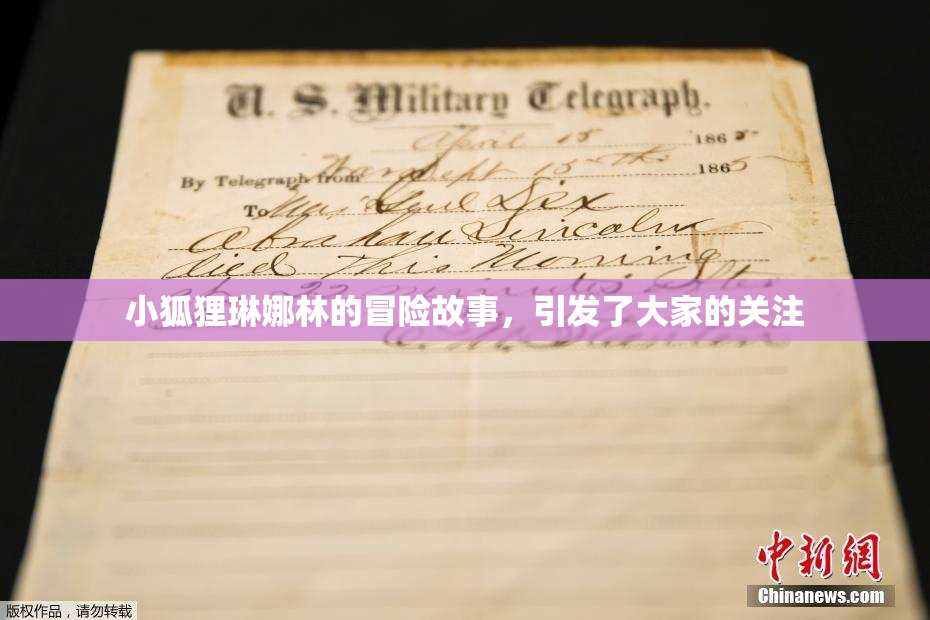 小狐狸琳娜林的冒险故事，引发了大家的关注