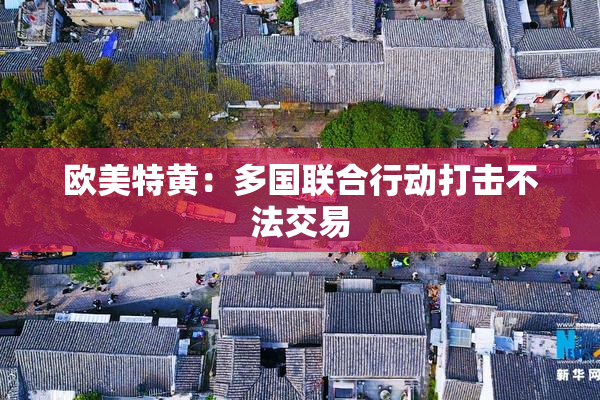 欧美特黄：多国联合行动打击不法交易