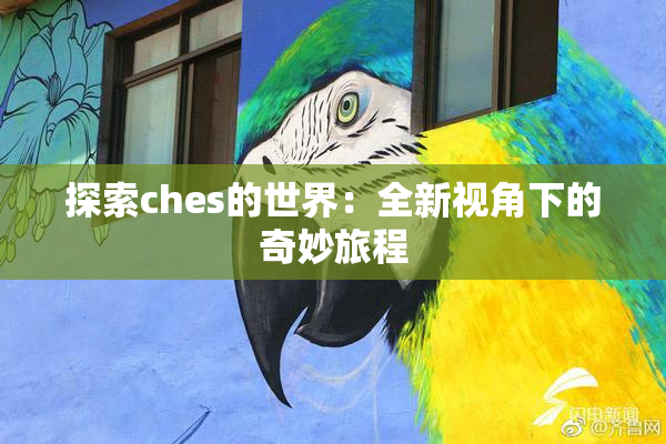 探索ches的世界：全新视角下的奇妙旅程