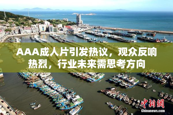 AAA成人片引发热议，观众反响热烈，行业未来需思考方向