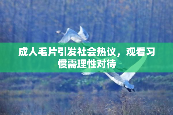 成人毛片引发社会热议，观看习惯需理性对待