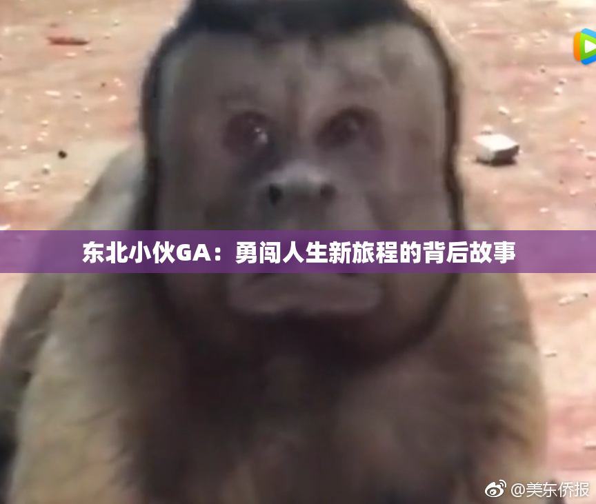 东北小伙GA：勇闯人生新旅程的背后故事