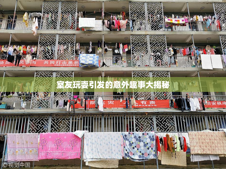 室友玩耍引发的意外趣事大揭秘