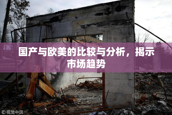 国产与欧美的比较与分析，揭示市场趋势
