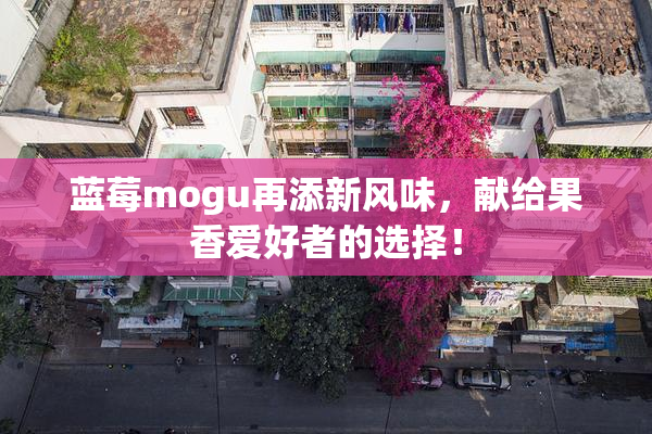 蓝莓mogu再添新风味，献给果香爱好者的选择！