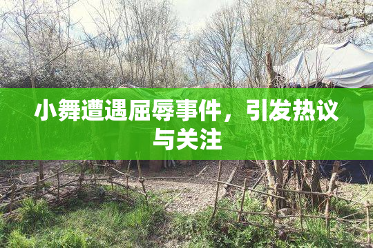 小舞遭遇屈辱事件，引发热议与关注