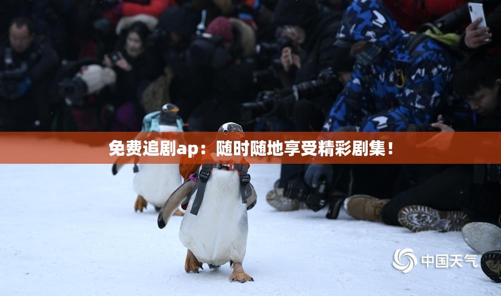 免费追剧ap：随时随地享受精彩剧集！