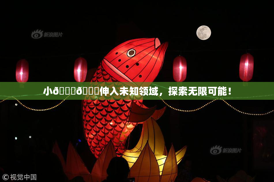 小🐔🐔伸入未知领域，探索无限可能！