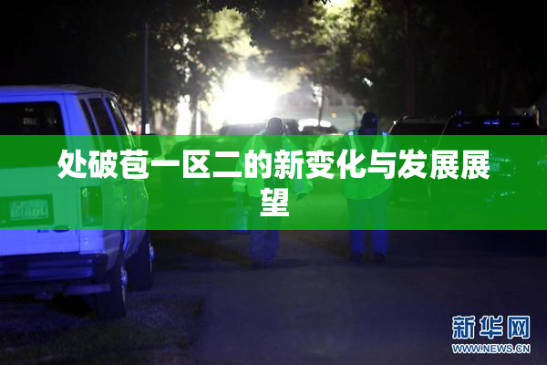 处破苞一区二的新变化与发展展望