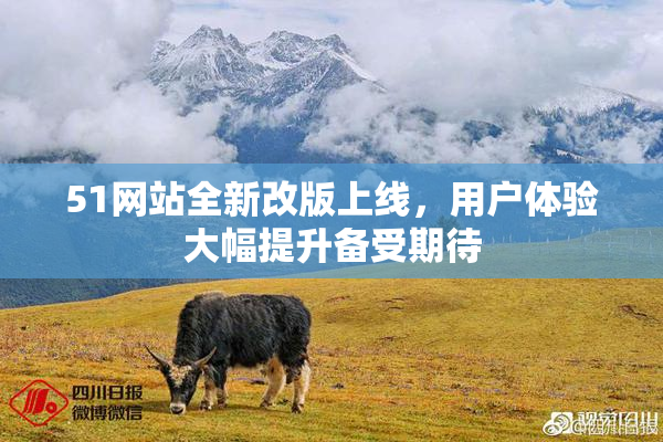 51网站全新改版上线，用户体验大幅提升备受期待