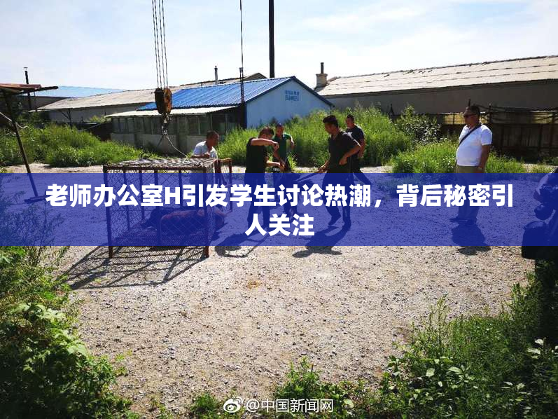 老师办公室H引发学生讨论热潮，背后秘密引人关注
