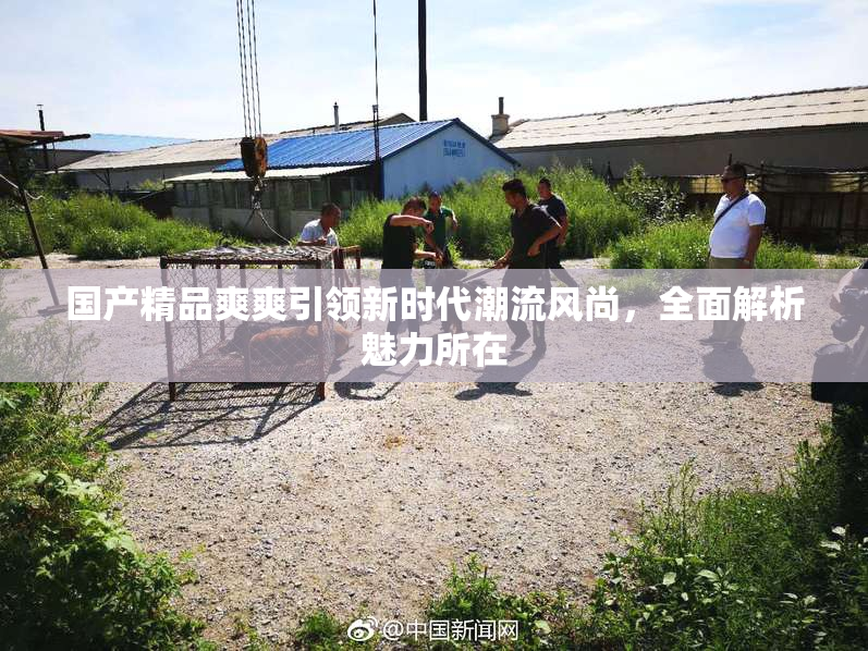 国产精品爽爽引领新时代潮流风尚，全面解析魅力所在