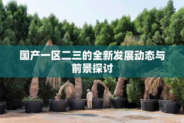 国产一区二三的全新发展动态与前景探讨