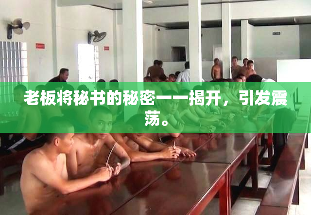 老板将秘书的秘密一一揭开，引发震荡。
