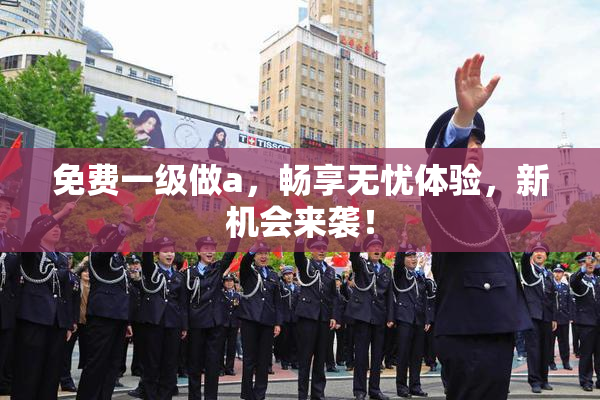 免费一级做a，畅享无忧体验，新机会来袭！