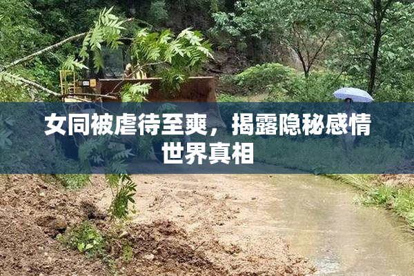 女同被虐待至爽，揭露隐秘感情世界真相