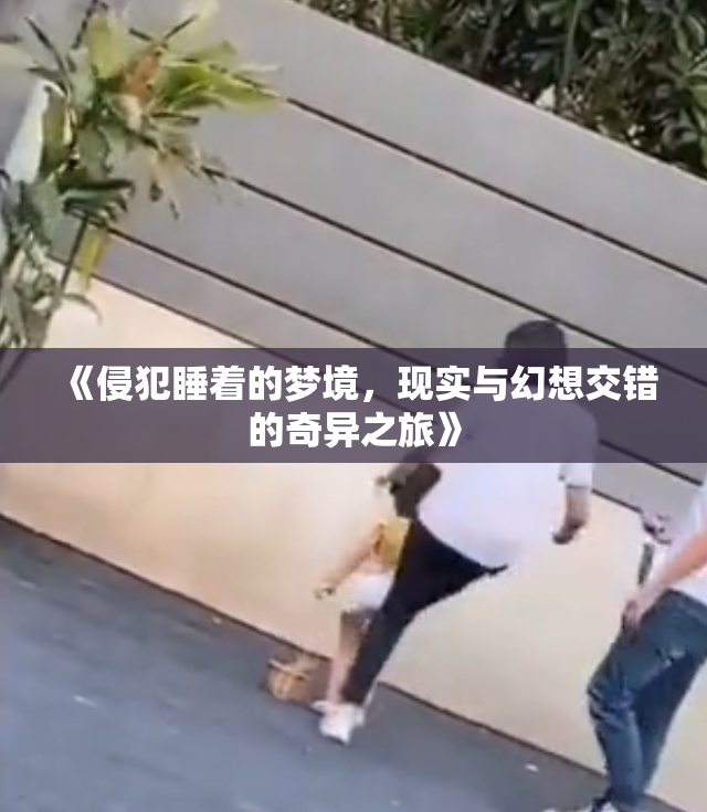 《侵犯睡着的梦境，现实与幻想交错的奇异之旅》