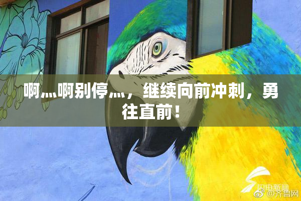 啊灬啊别停灬，继续向前冲刺，勇往直前！