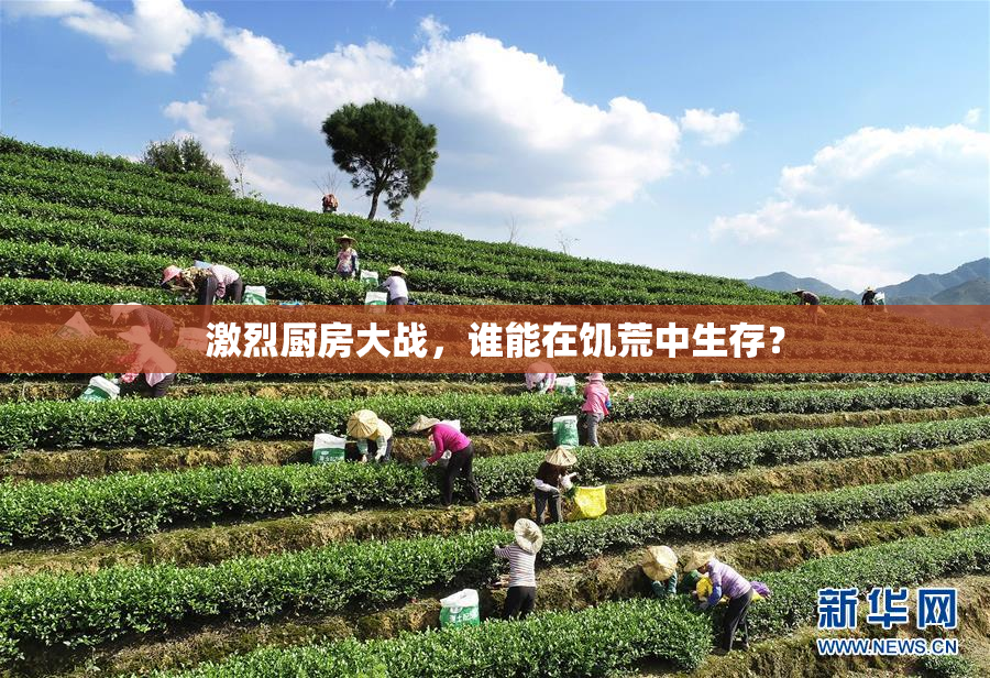 激烈厨房大战，谁能在饥荒中生存？