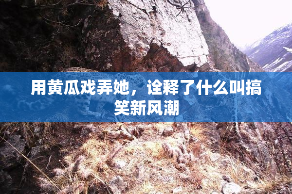 用黄瓜戏弄她，诠释了什么叫搞笑新风潮