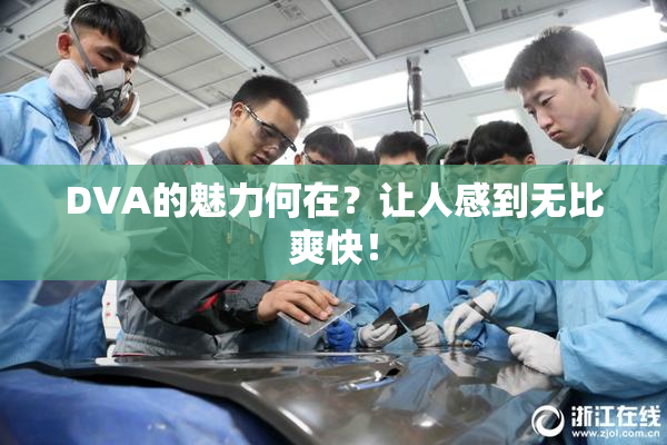 DVA的魅力何在？让人感到无比爽快！