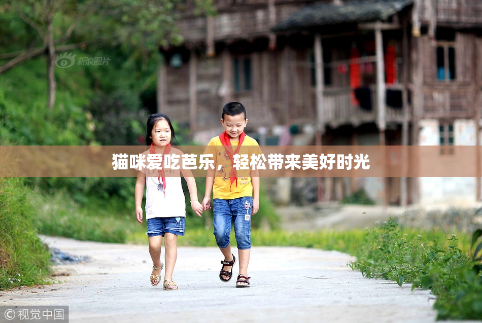 猫咪爱吃芭乐，轻松带来美好时光