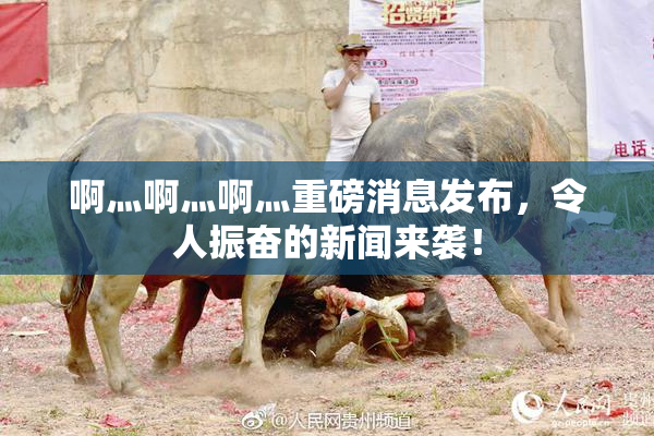啊灬啊灬啊灬重磅消息发布，令人振奋的新闻来袭！