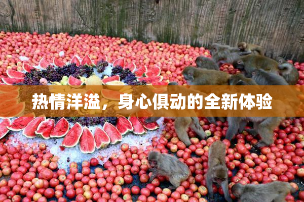 热情洋溢，身心俱动的全新体验
