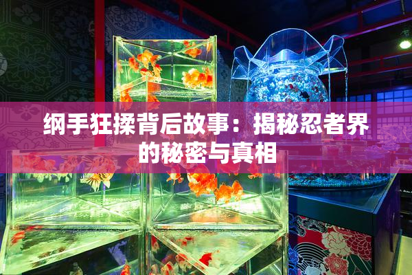 纲手狂揉背后故事：揭秘忍者界的秘密与真相