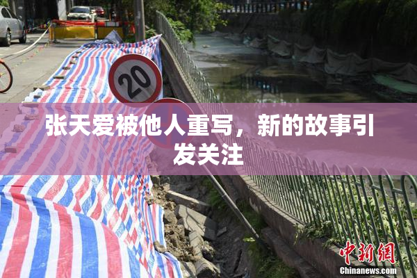 张天爱被他人重写，新的故事引发关注