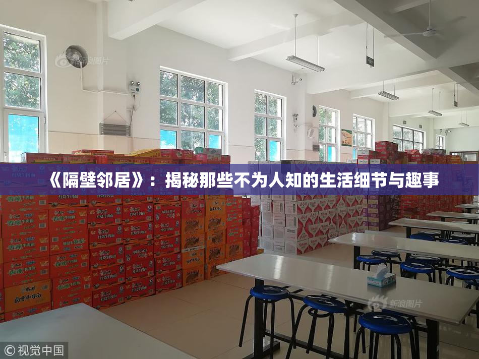 《隔壁邻居》：揭秘那些不为人知的生活细节与趣事