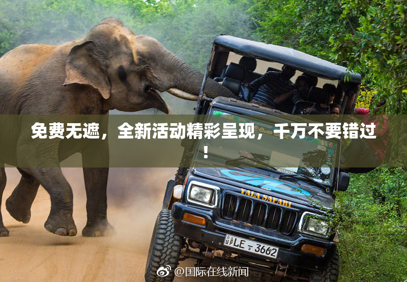 免费无遮，全新活动精彩呈现，千万不要错过！