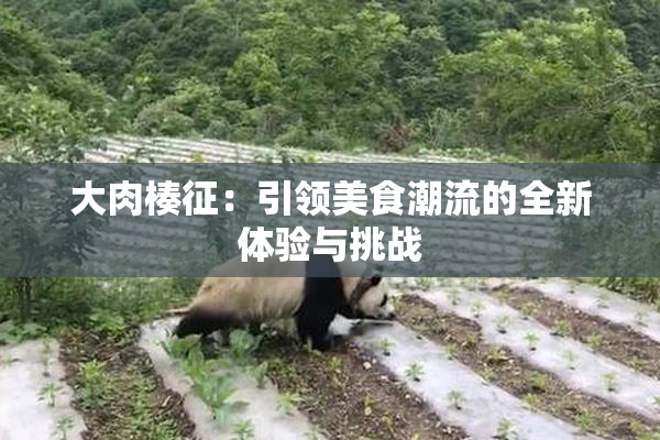 大肉楱征：引领美食潮流的全新体验与挑战