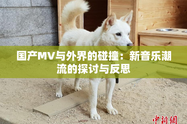 国产MV与外界的碰撞：新音乐潮流的探讨与反思